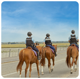 Des gendarmes qui patrouillent à cheval assurance sécurité